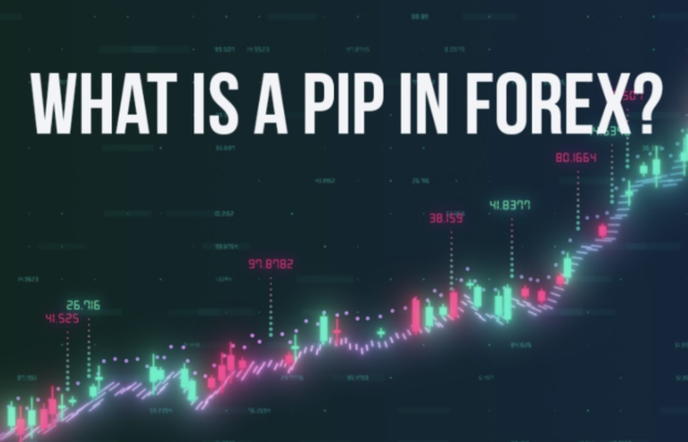 What is a Pip? Using Pips in Forex Trading